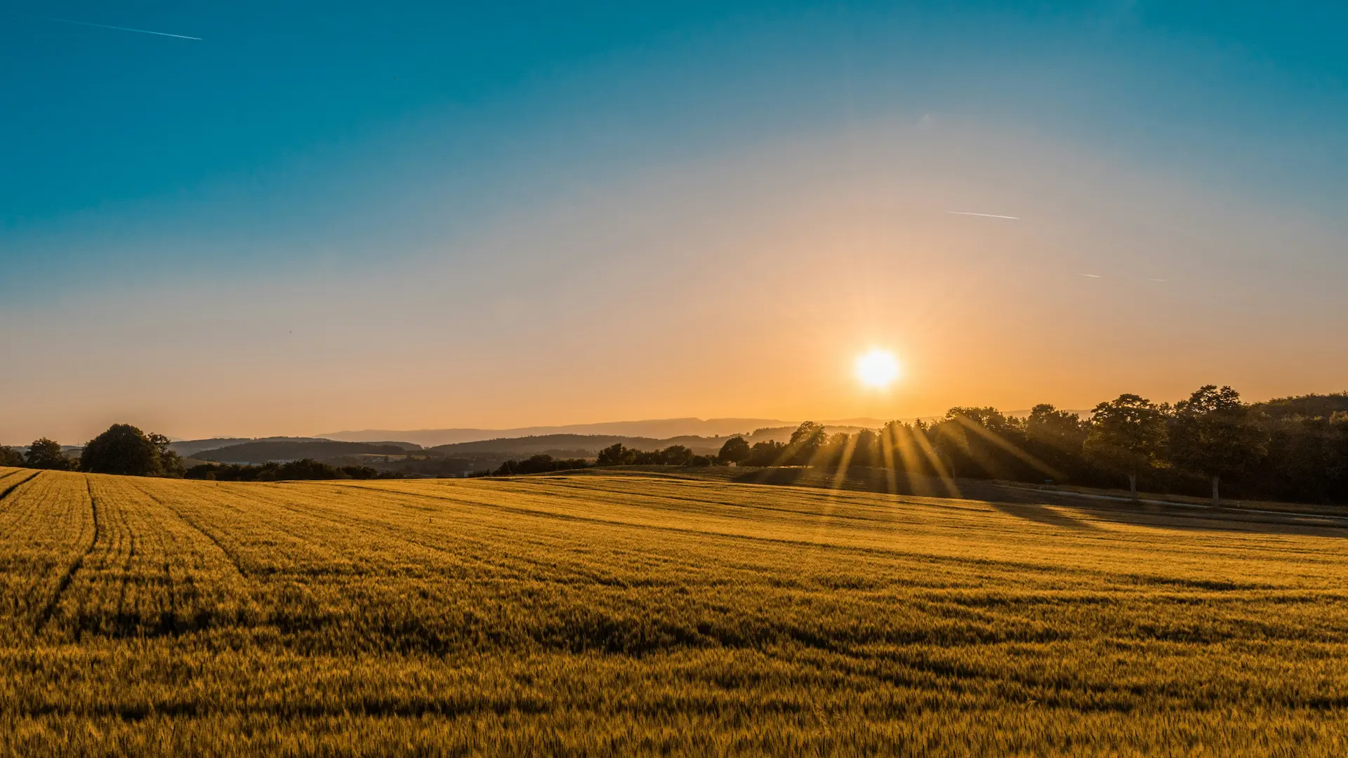 Gippsland landscape